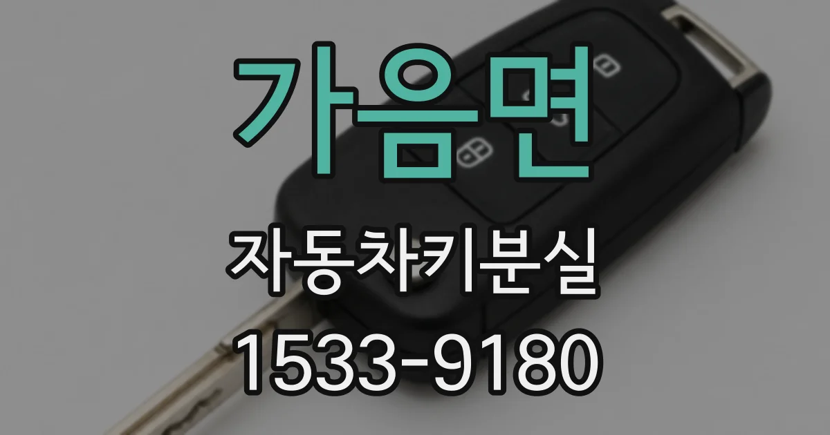 가음면 자동차키분실