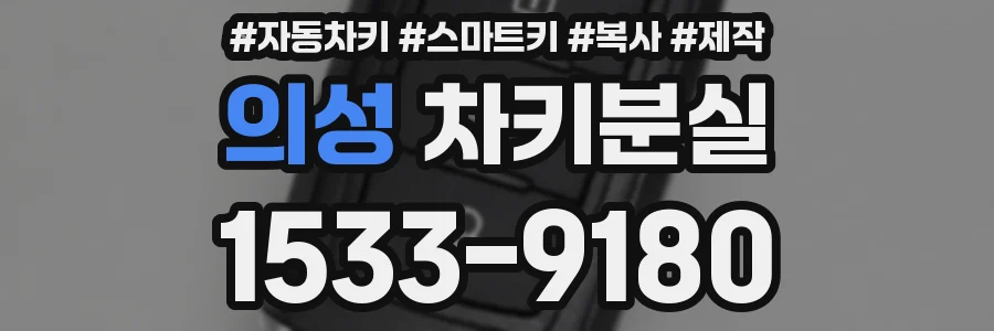 의성 차키분실