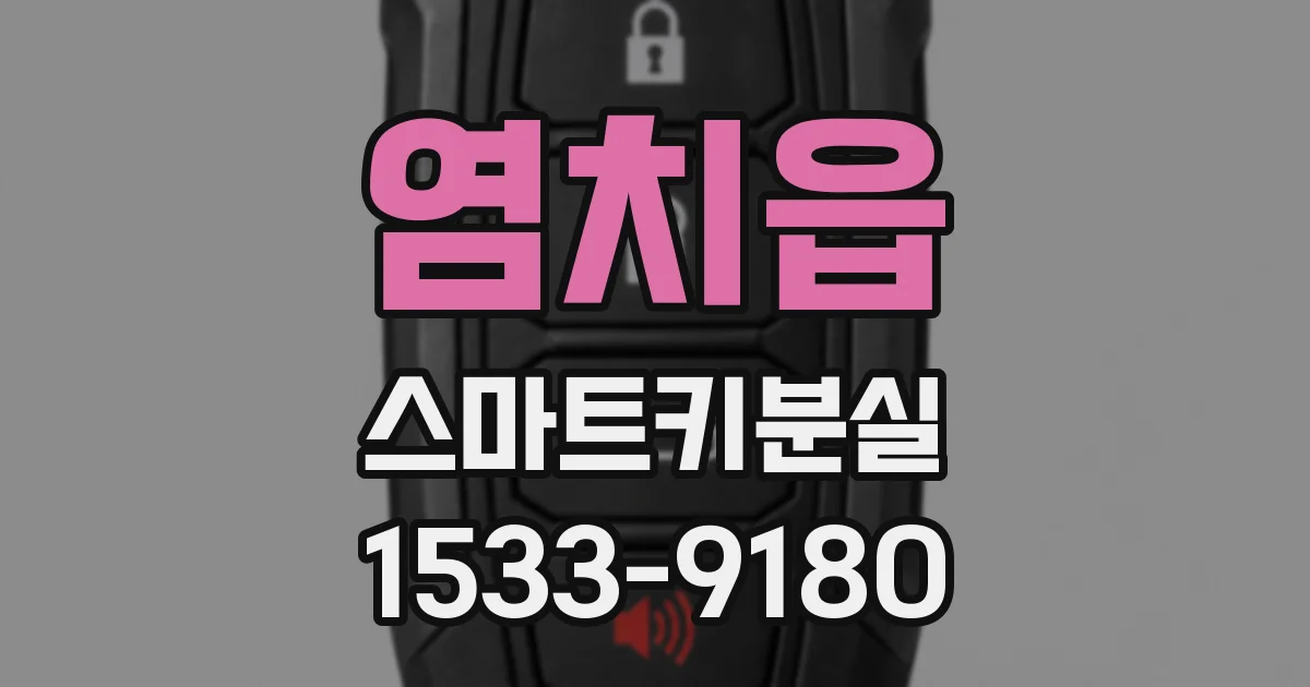 염치읍 스마트키분실