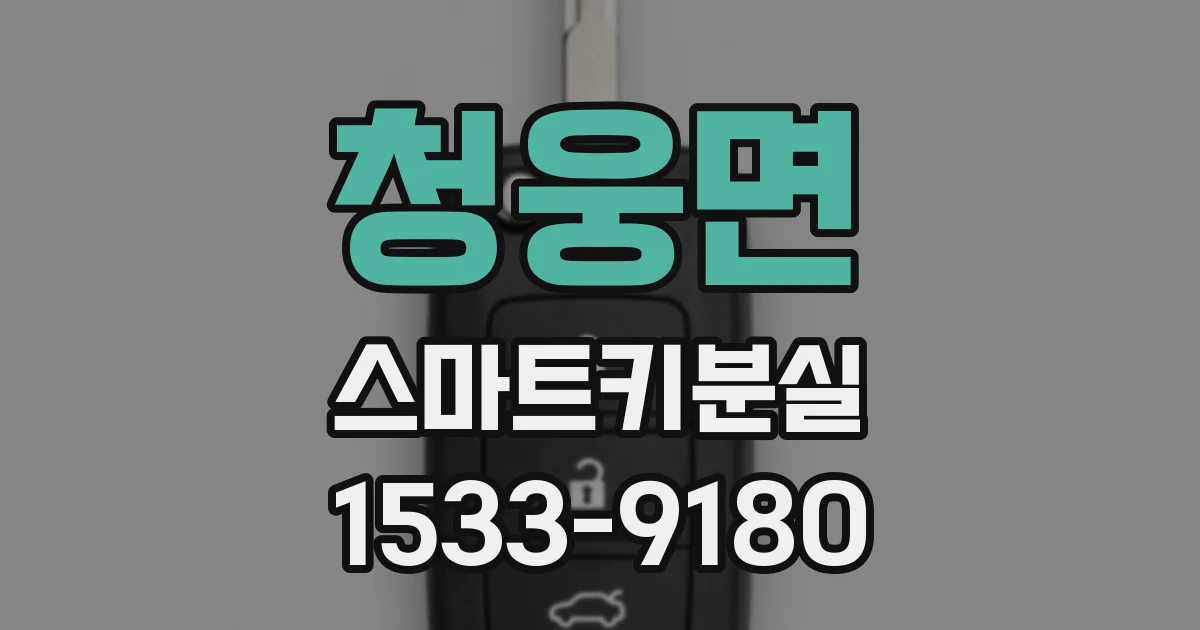 청웅면 스마트키분실