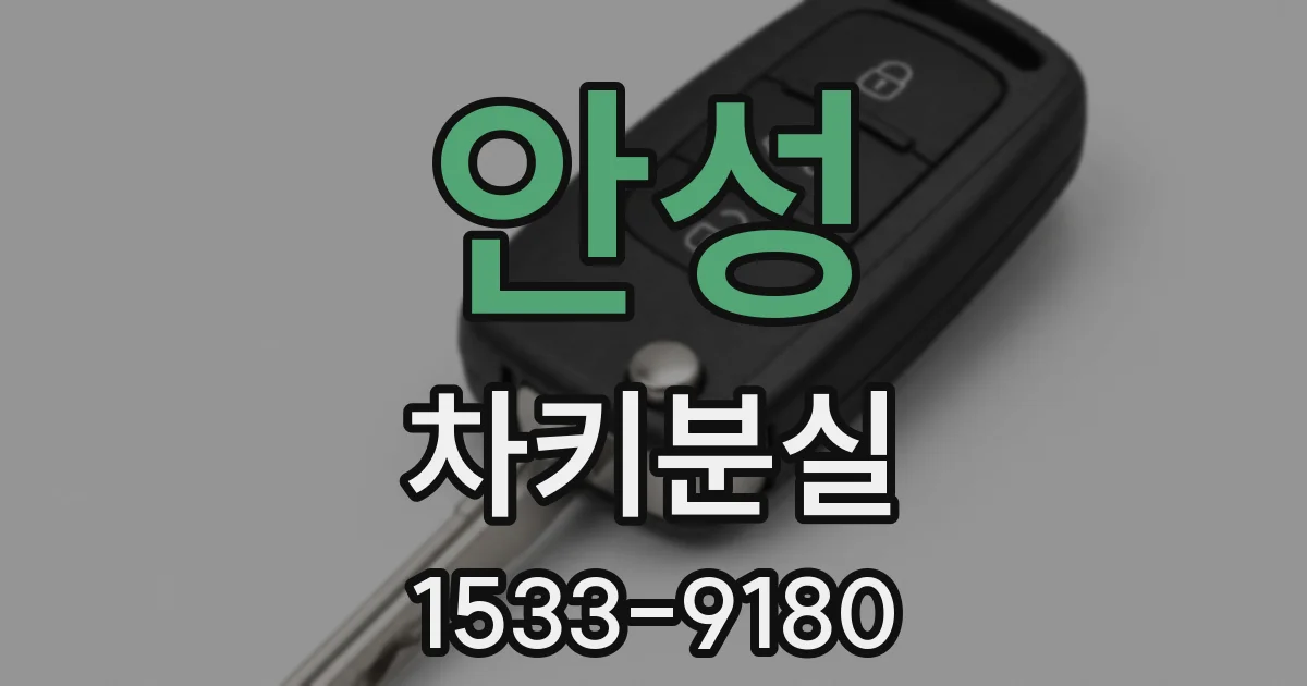 안성 차키분실
