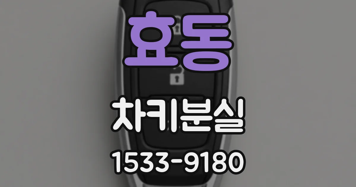 효동 차키분실