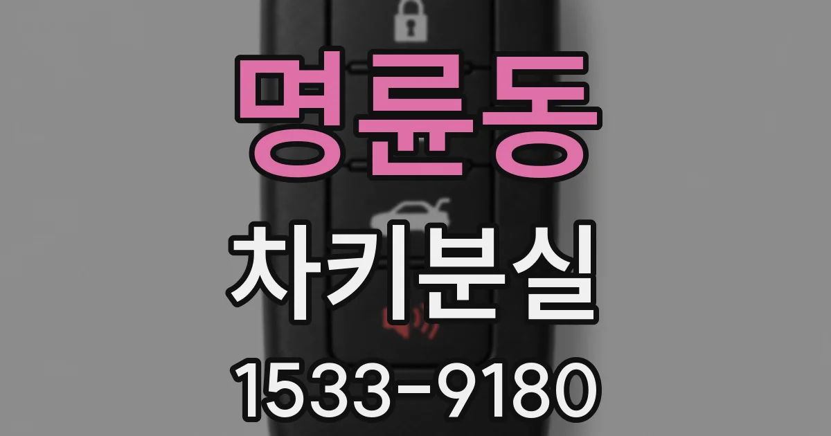 명륜동 차키분실