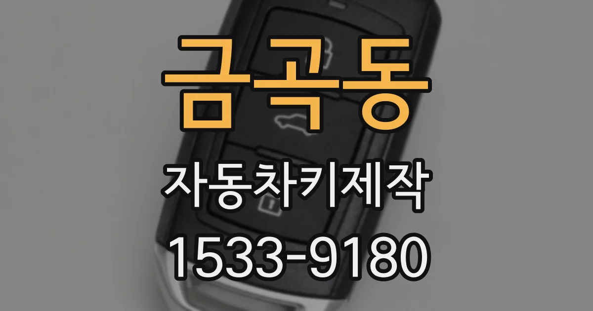금곡동 자동차키제작