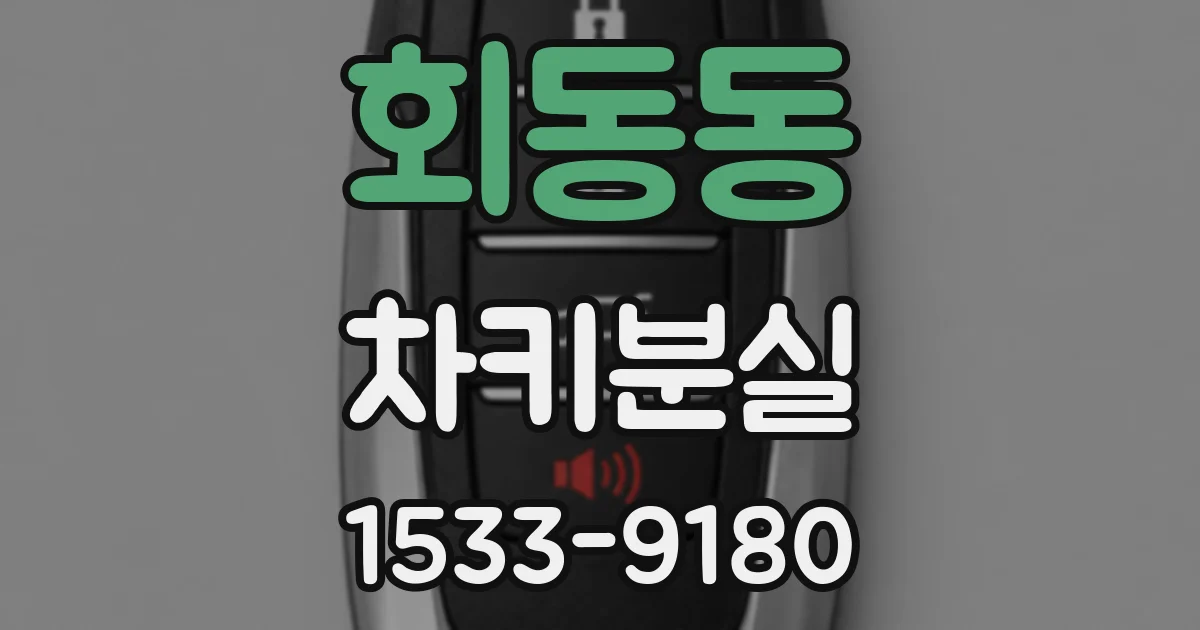 회동동 차키분실