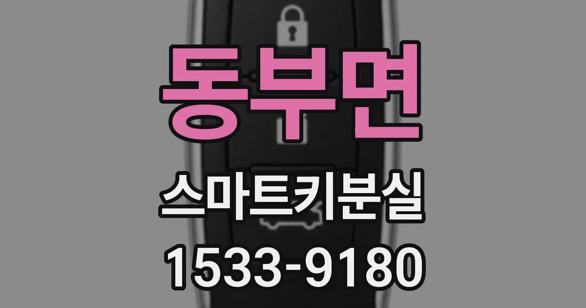 동부면 스마트키분실