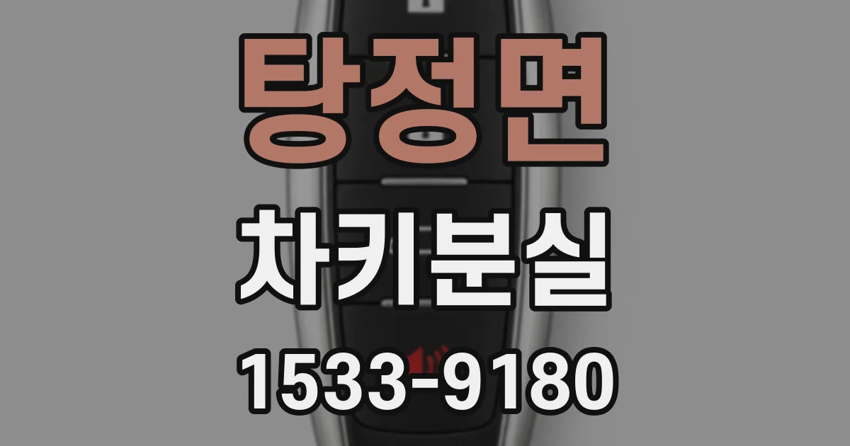 탕정면 차키분실