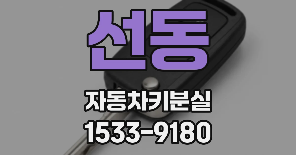 선동 자동차키분실
