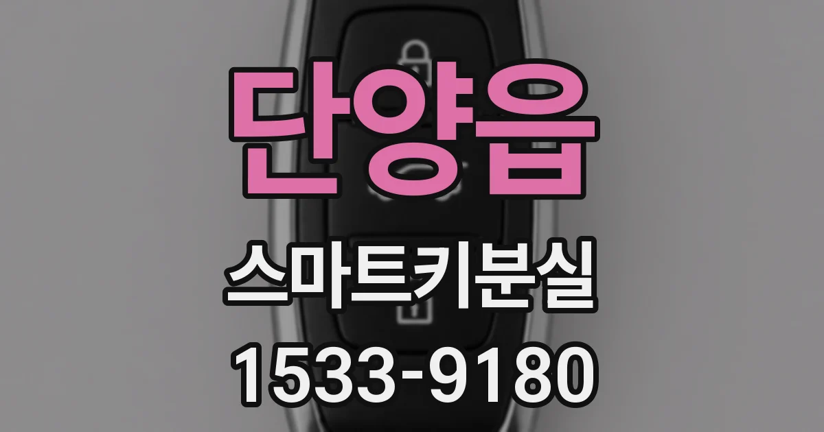 단양읍 스마트키분실