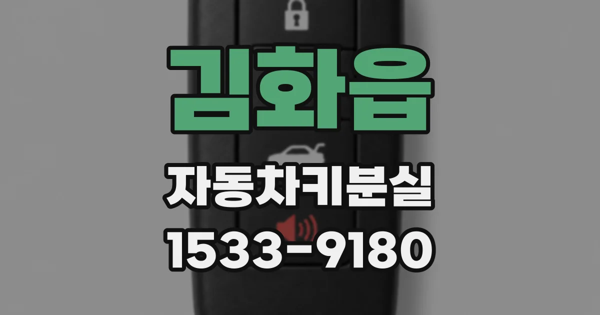 김화읍 자동차키분실