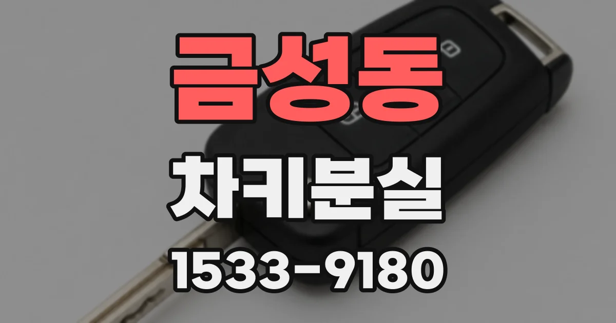 금성동 차키분실