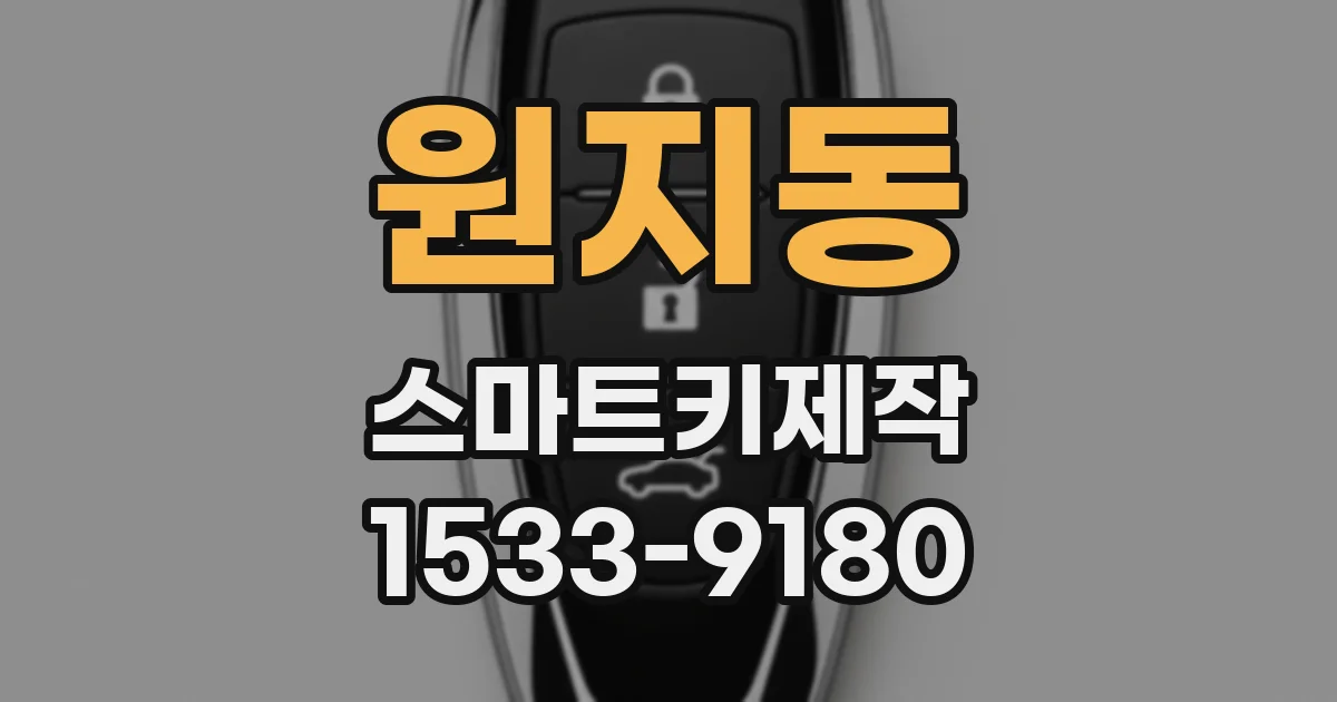 원지동 스마트키제작