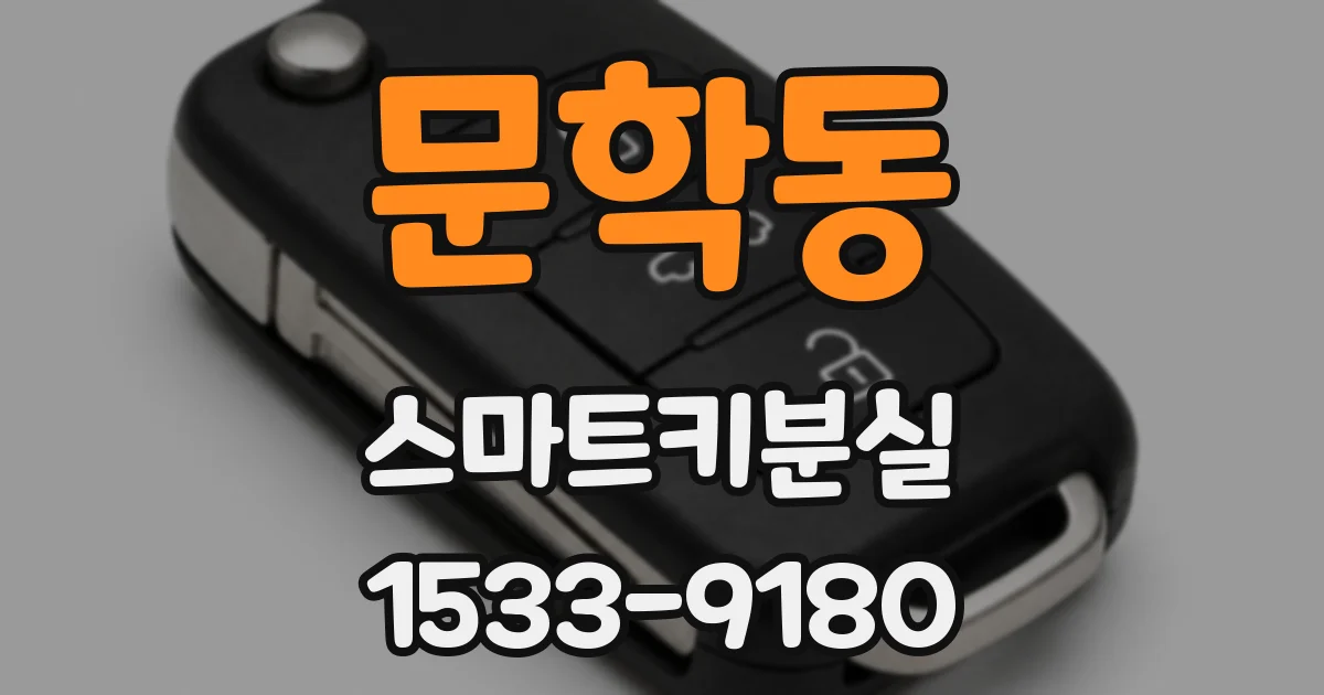 문학동 스마트키분실