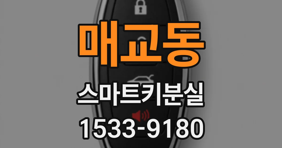 매교동 스마트키분실