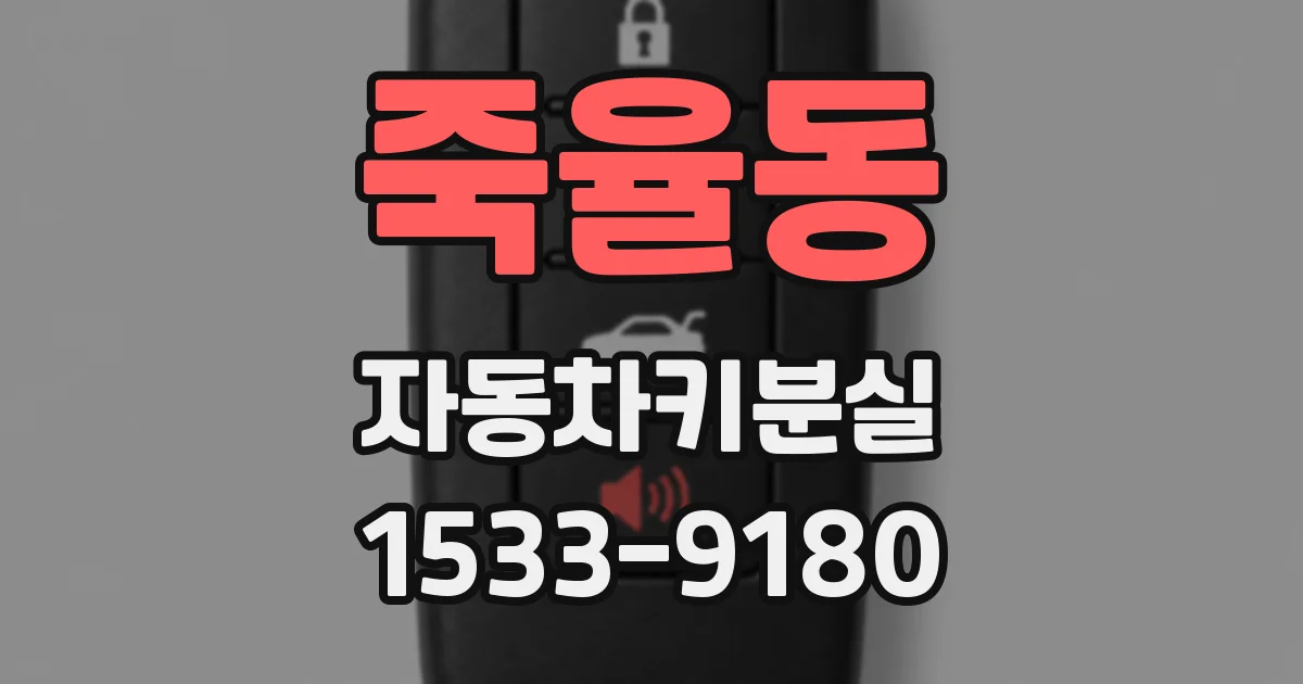 죽율동 자동차키분실