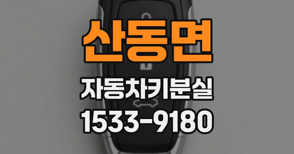 산동면 자동차키분실