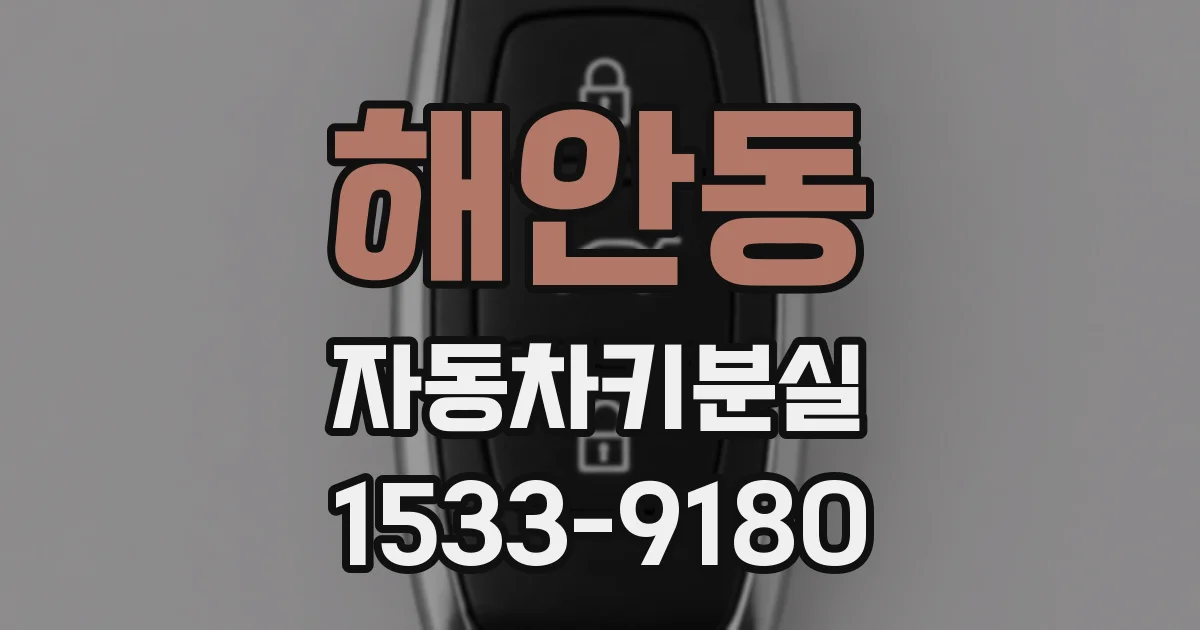 해안동 자동차키분실