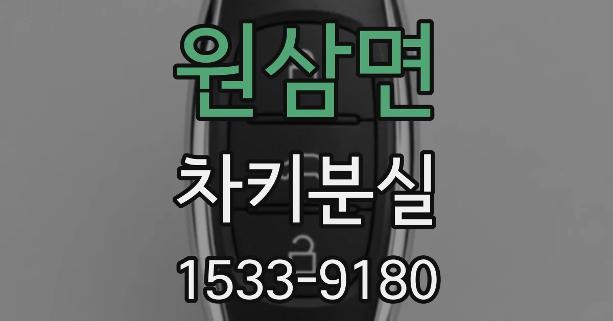 원삼면 차키분실