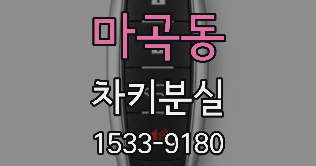 마곡동 차키분실