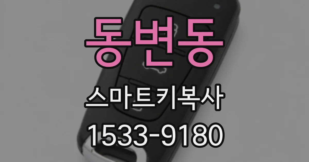 동변동 스마트키복사