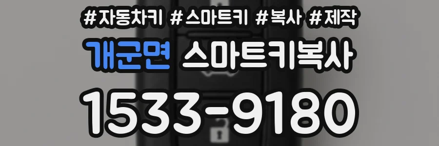 개군면 스마트키복사