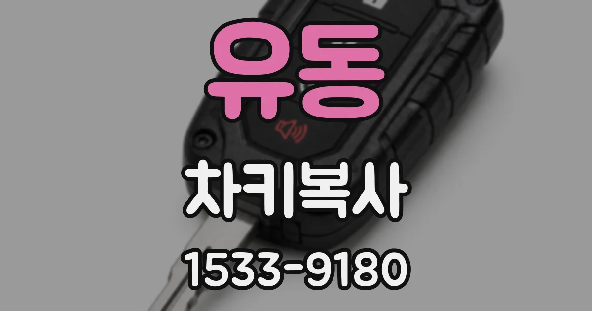 유동 차키복사