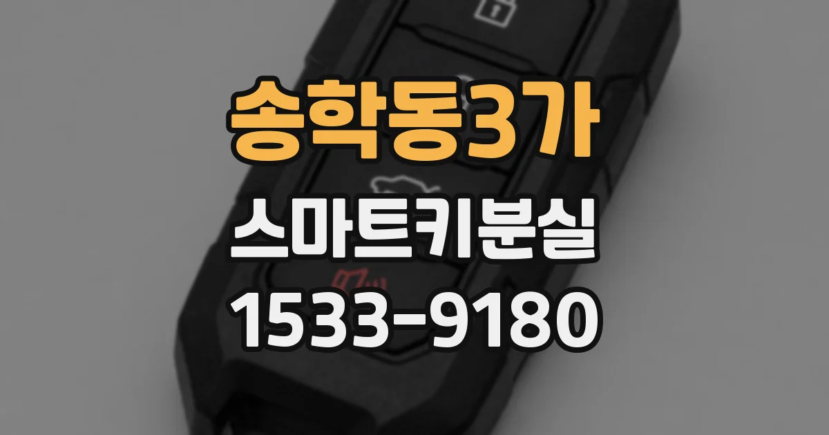 송학동3가 스마트키분실