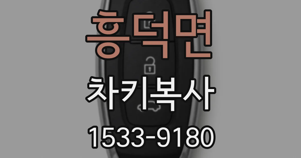 흥덕면 차키복사
