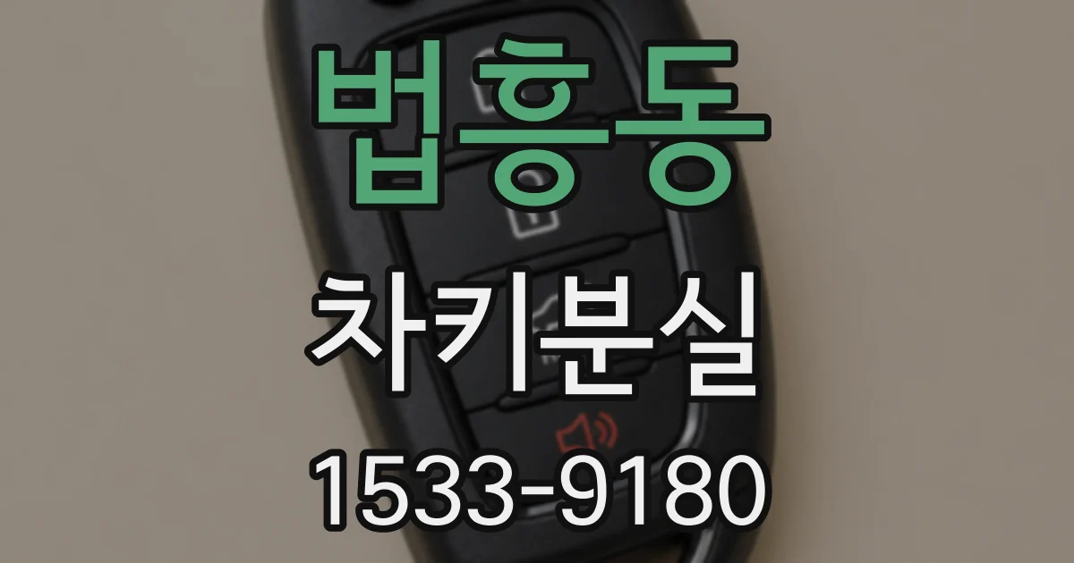 법흥동 차키분실