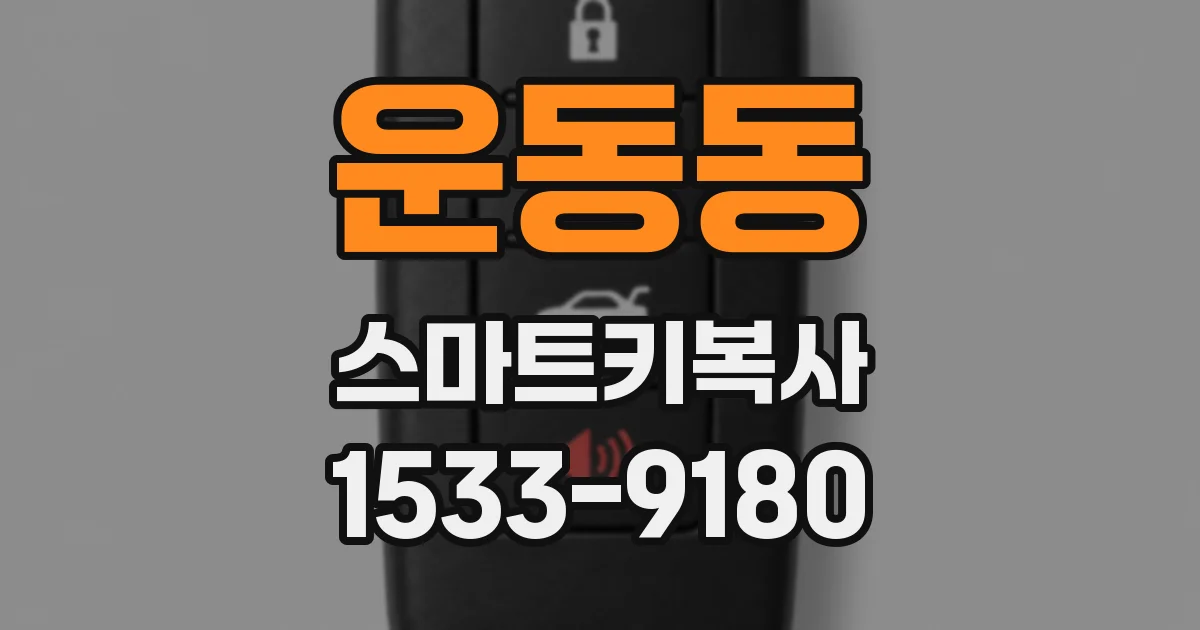 운동동 스마트키복사