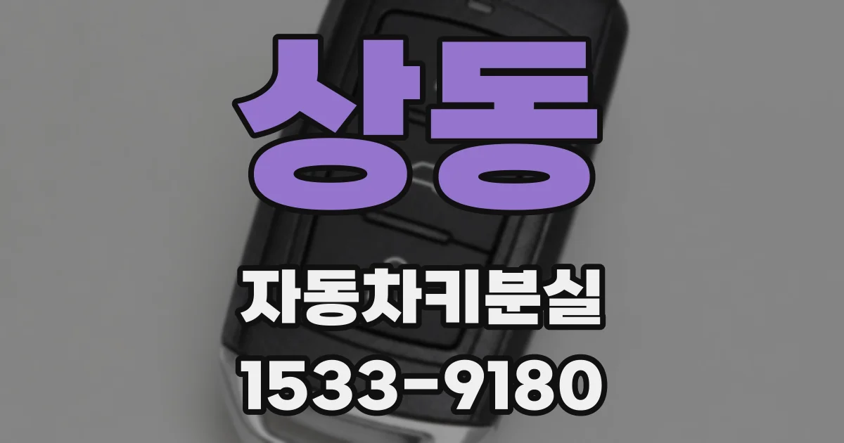 상동 자동차키분실