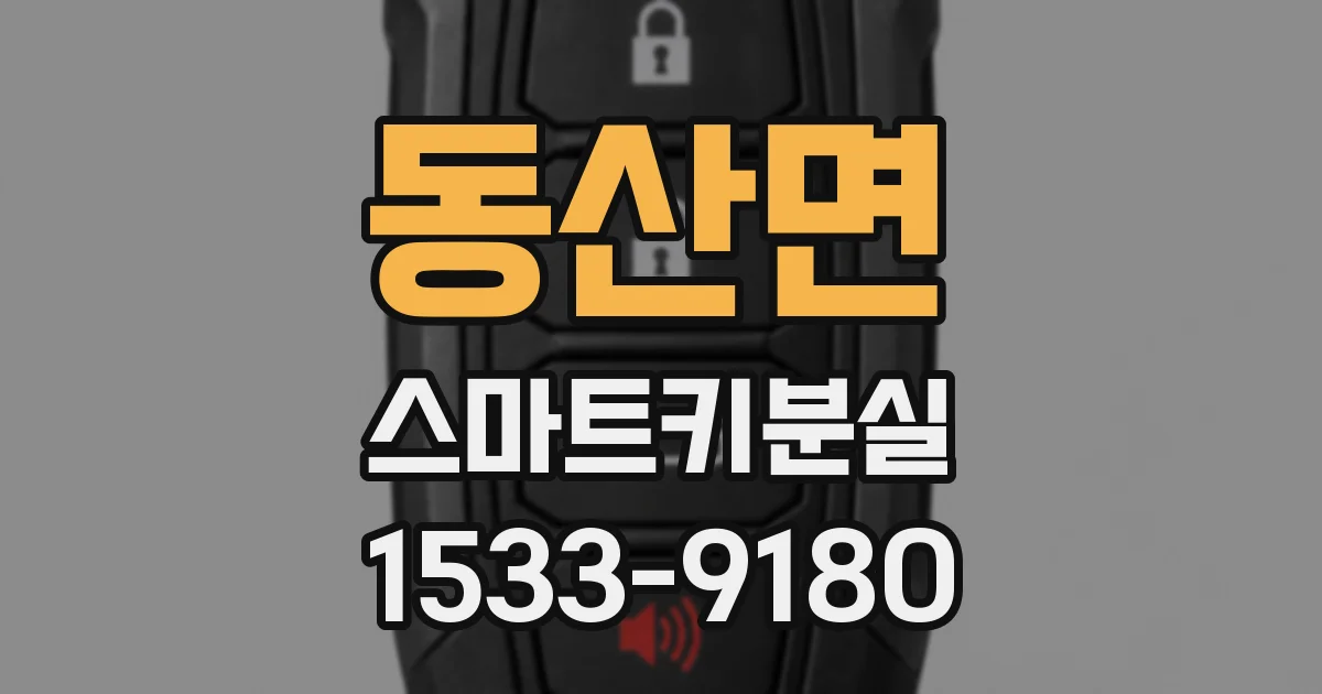 동산면 스마트키분실