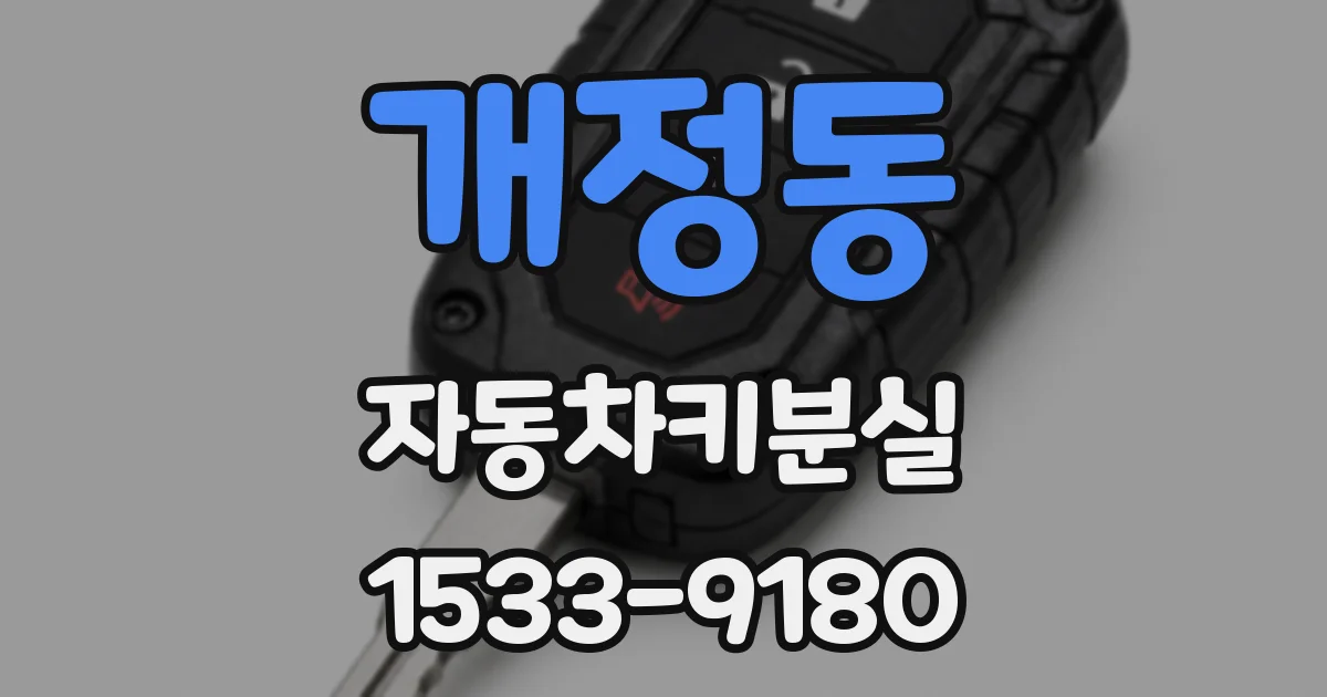 개정동 자동차키분실