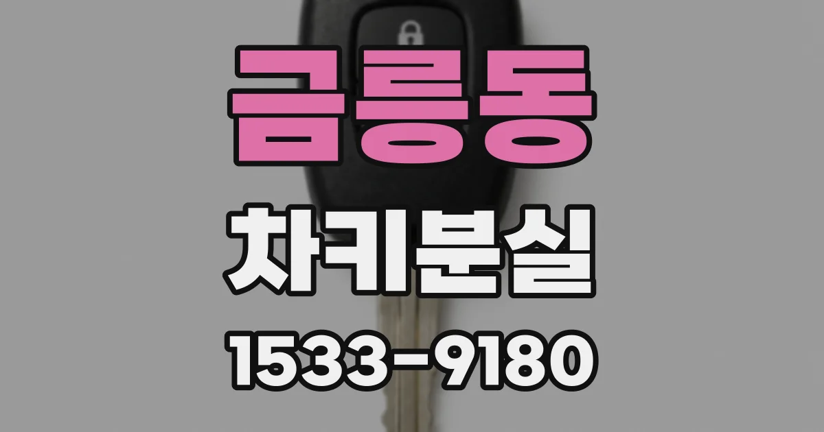 금릉동 차키분실