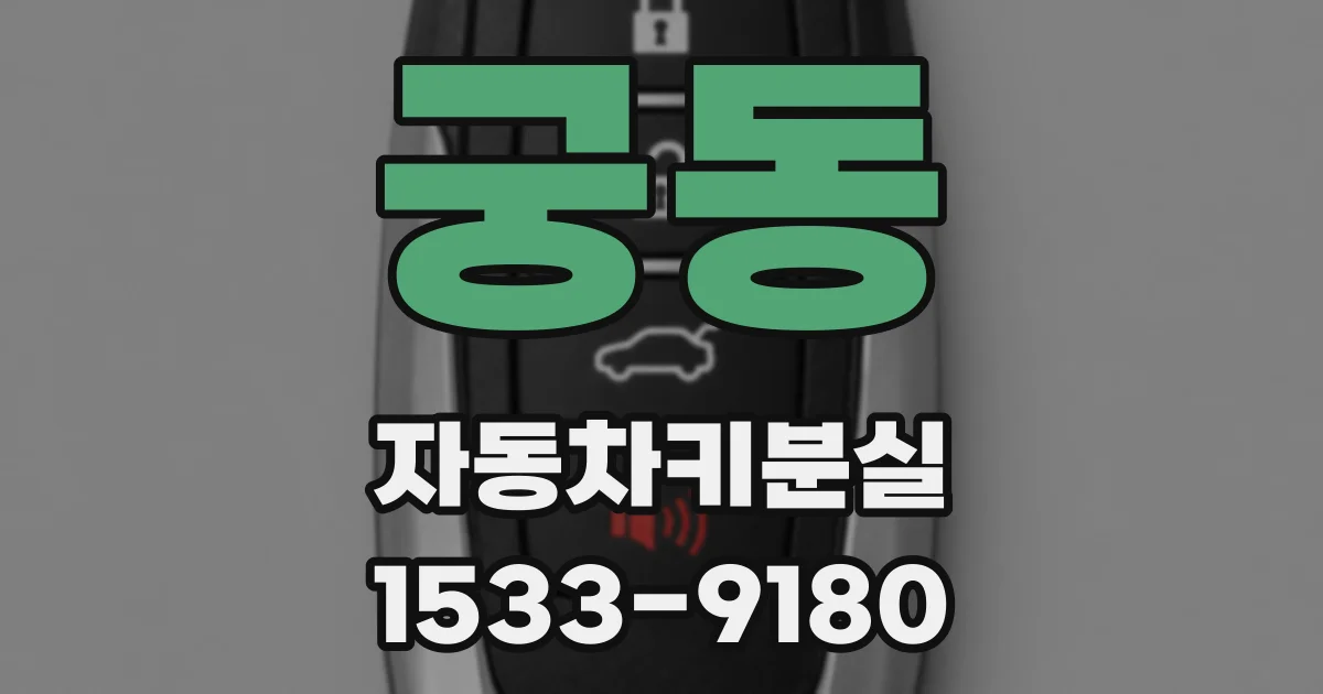궁동 자동차키분실