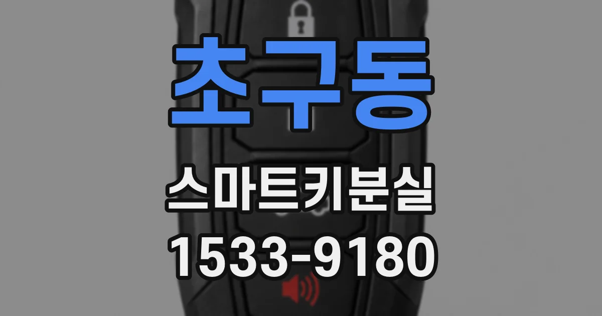 초구동 스마트키분실