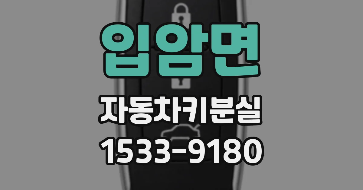 입암면 자동차키분실