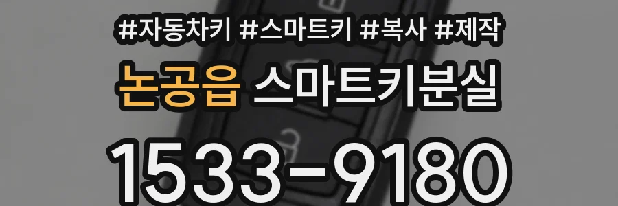 논공읍 스마트키분실
