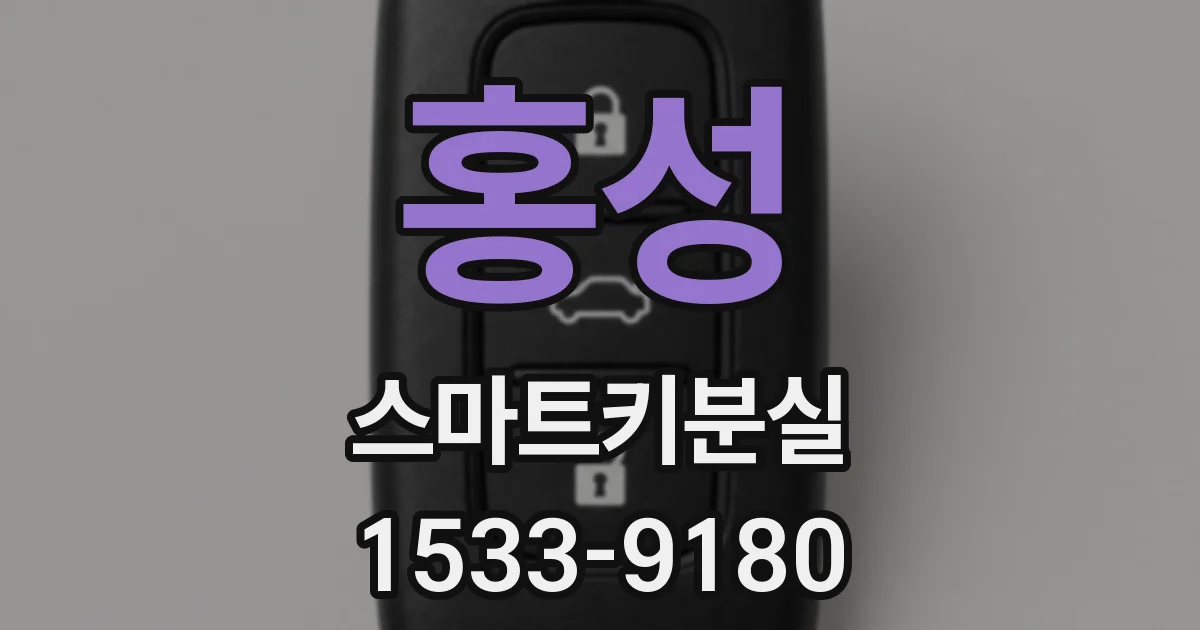 홍성 스마트키분실