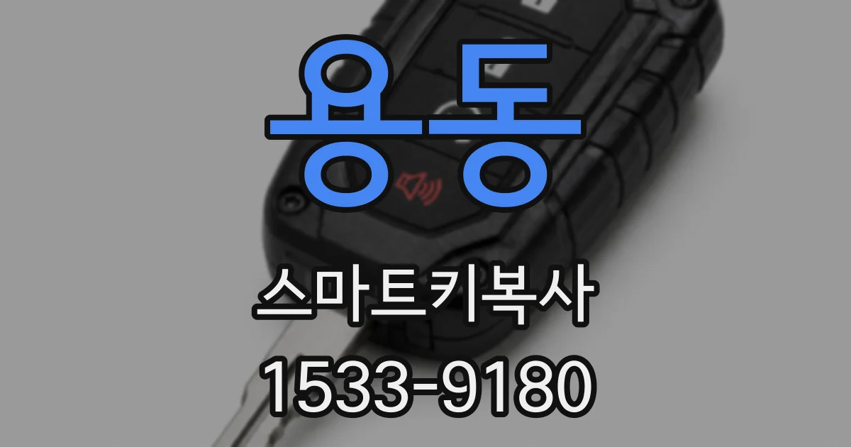 용동 스마트키복사