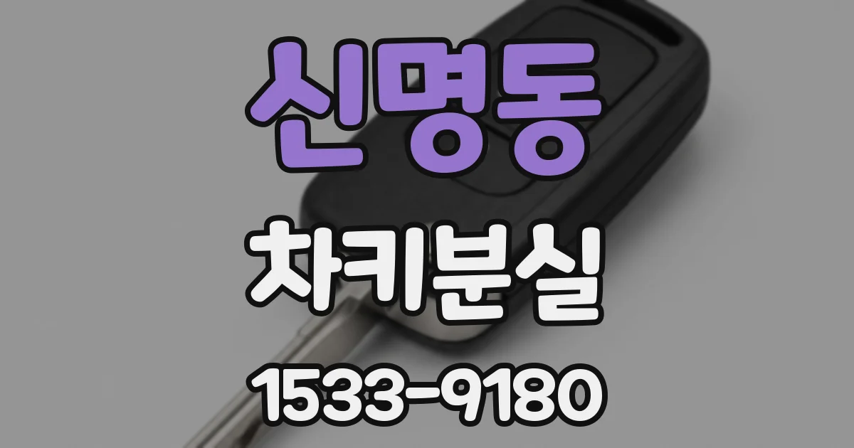 신명동 차키분실