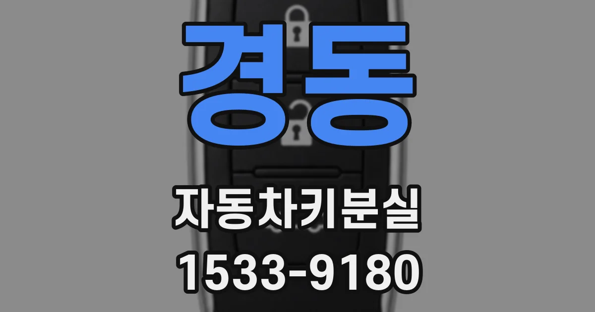 경동 자동차키분실