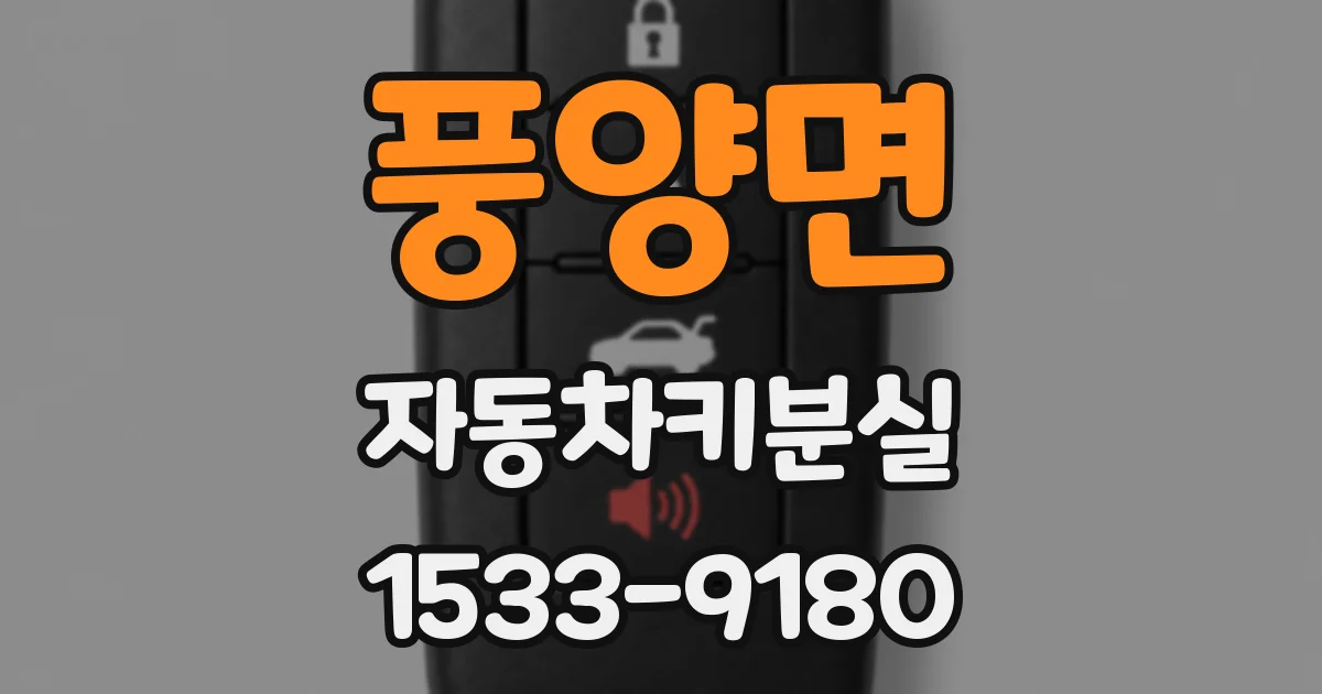 풍양면 자동차키분실