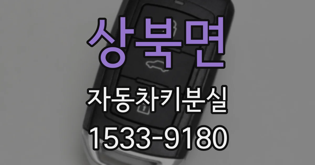 상북면 자동차키분실