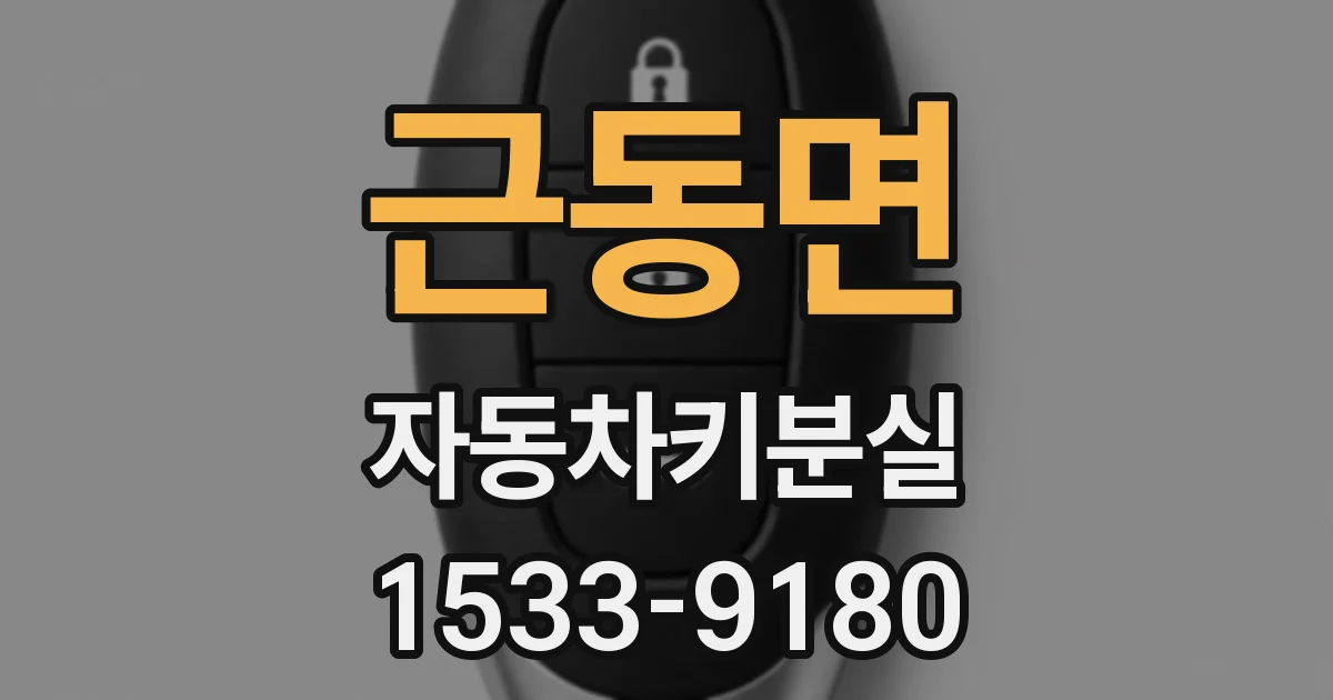 근동면 자동차키분실
