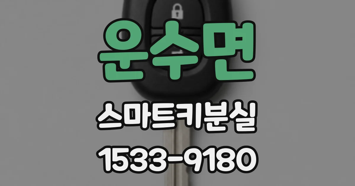 운수면 스마트키분실