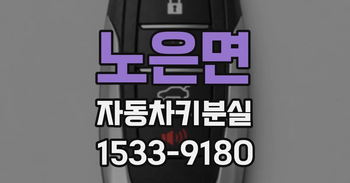 노은면 자동차키분실