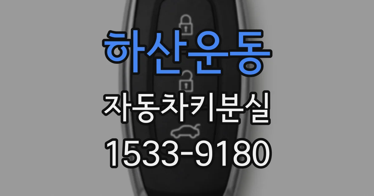 하산운동 자동차키분실