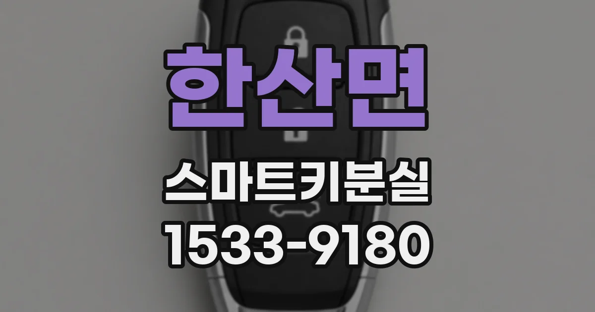 한산면 스마트키분실