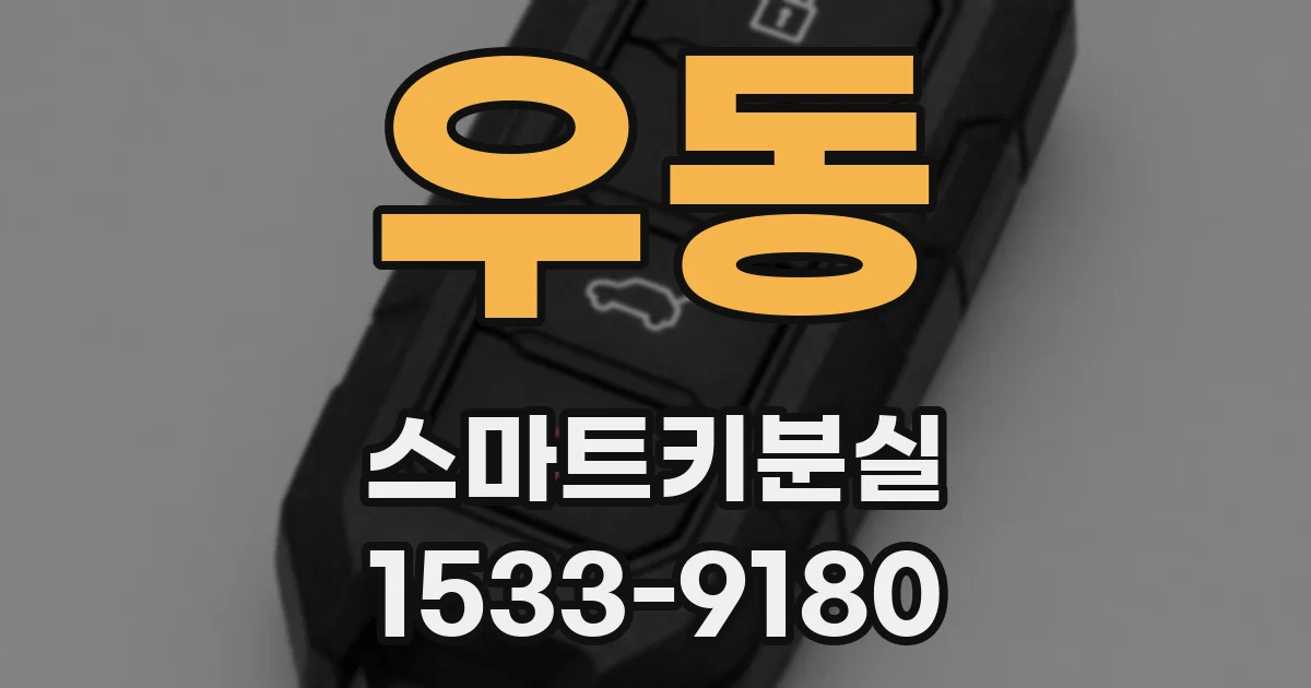 우동 스마트키분실